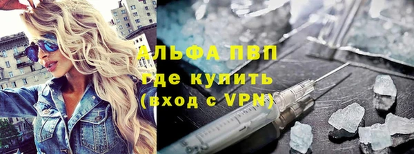 стаф Осташков